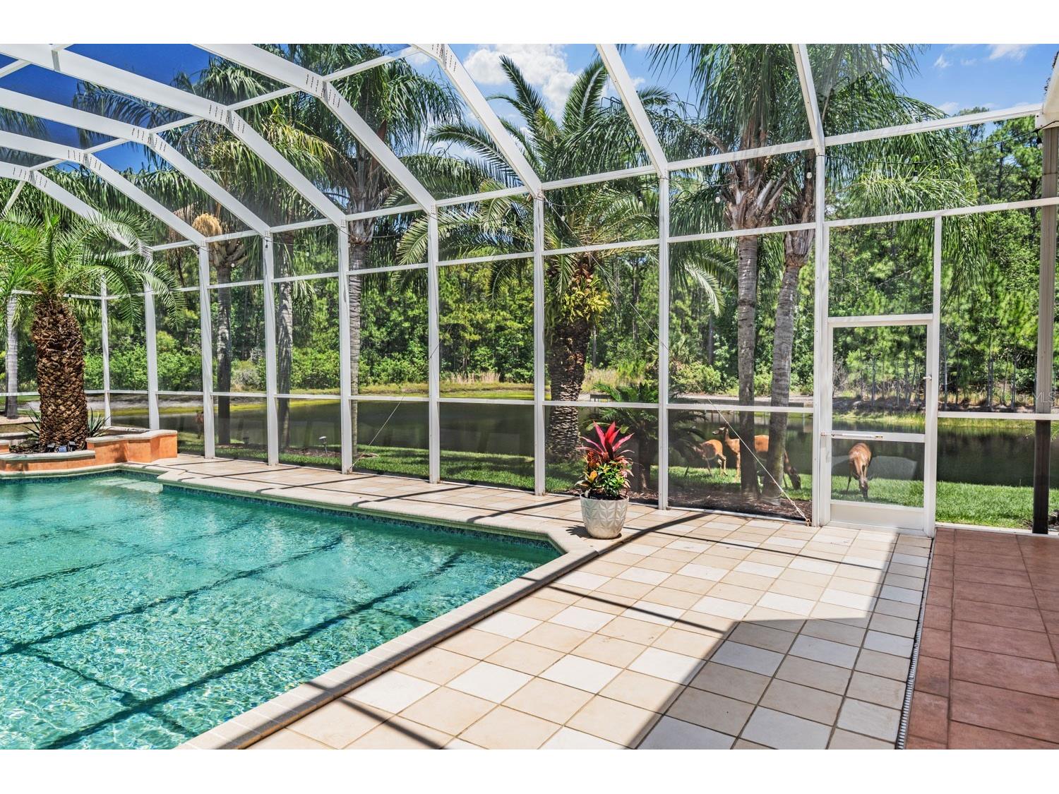 4561 Roanoak Way Palm Harbor FL 34685 TB8508800 image51