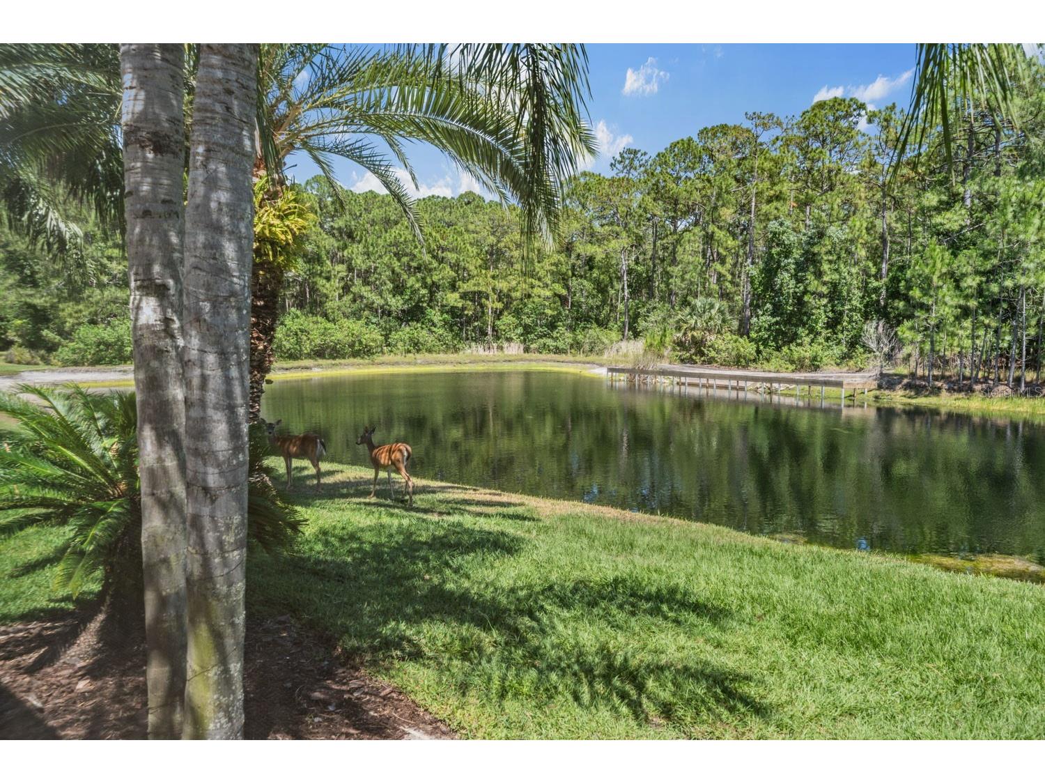 4561 Roanoak Way Palm Harbor FL 34685 TB8508800 image53