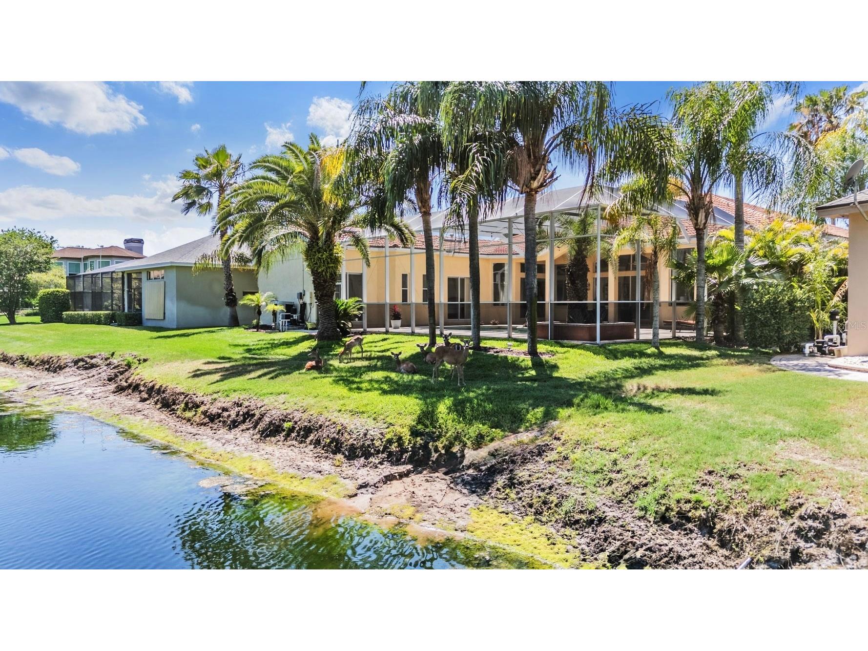 4561 Roanoak Way Palm Harbor FL 34685 TB8508800 image55