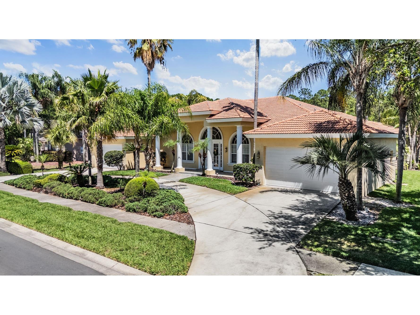 4561 Roanoak Way Palm Harbor FL 34685 TB8508800 image58
