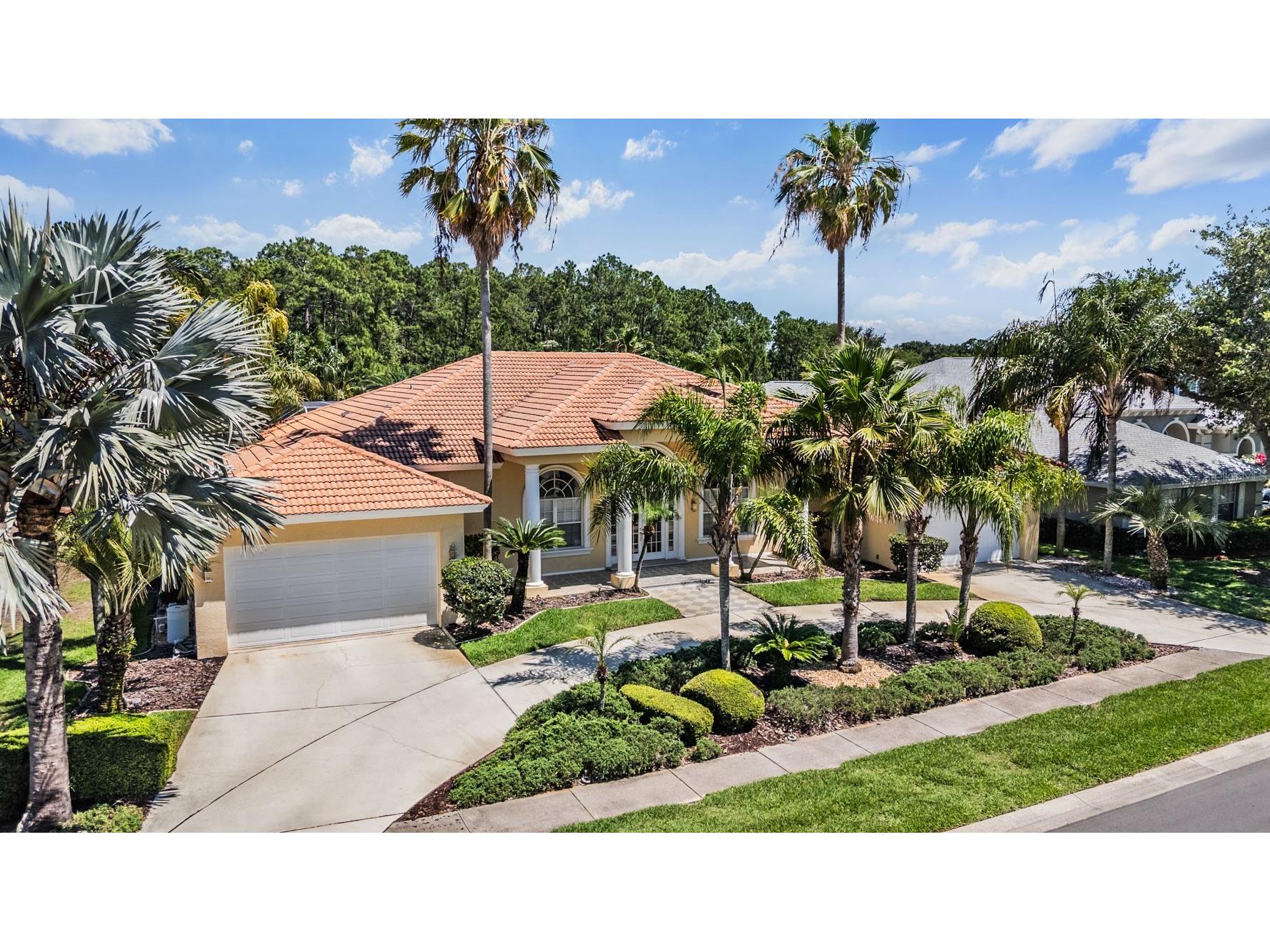 4561 Roanoak Way Palm Harbor FL 34685 TB8508800 image59