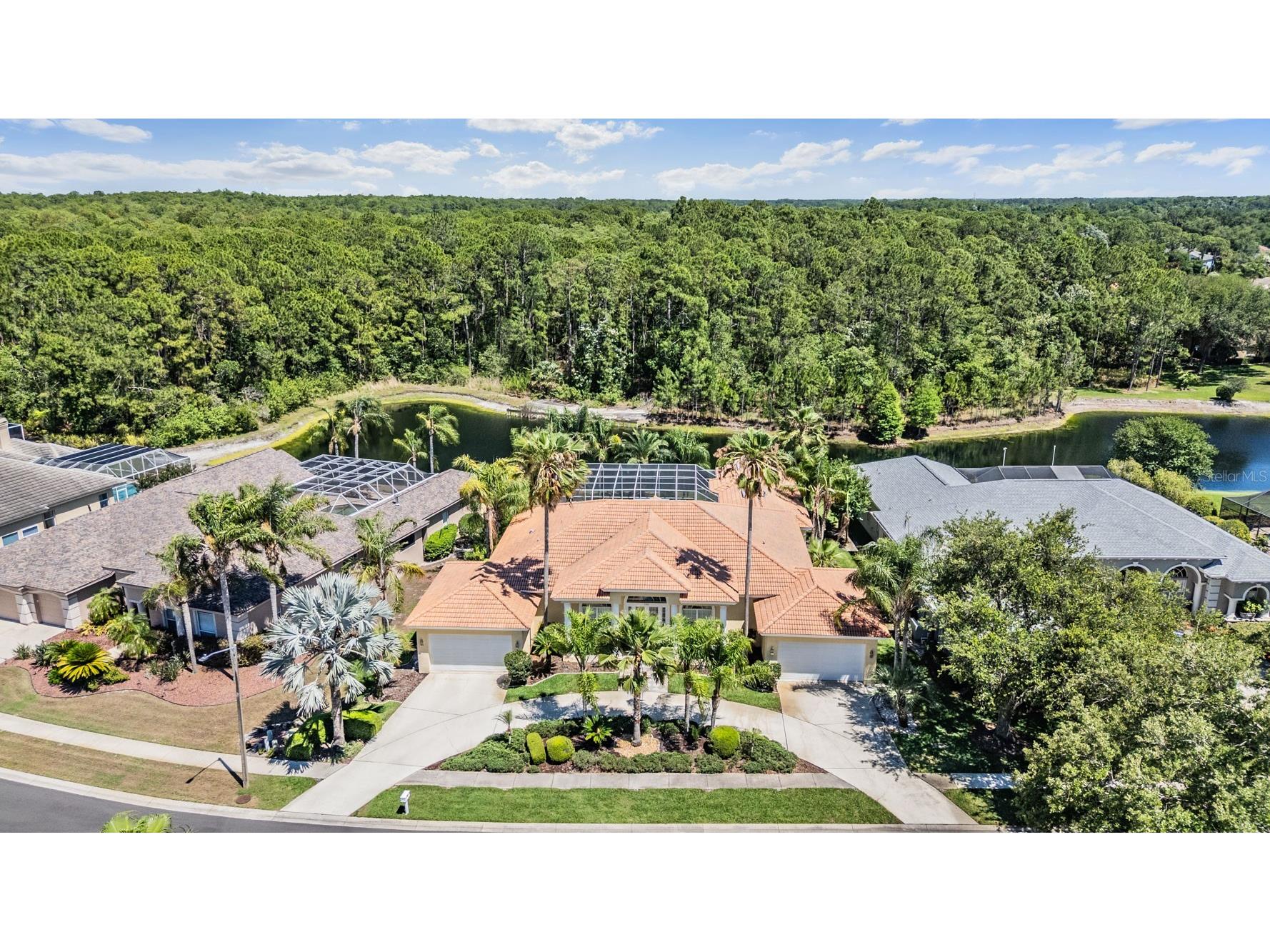 4561 Roanoak Way Palm Harbor FL 34685 TB8508800 image60