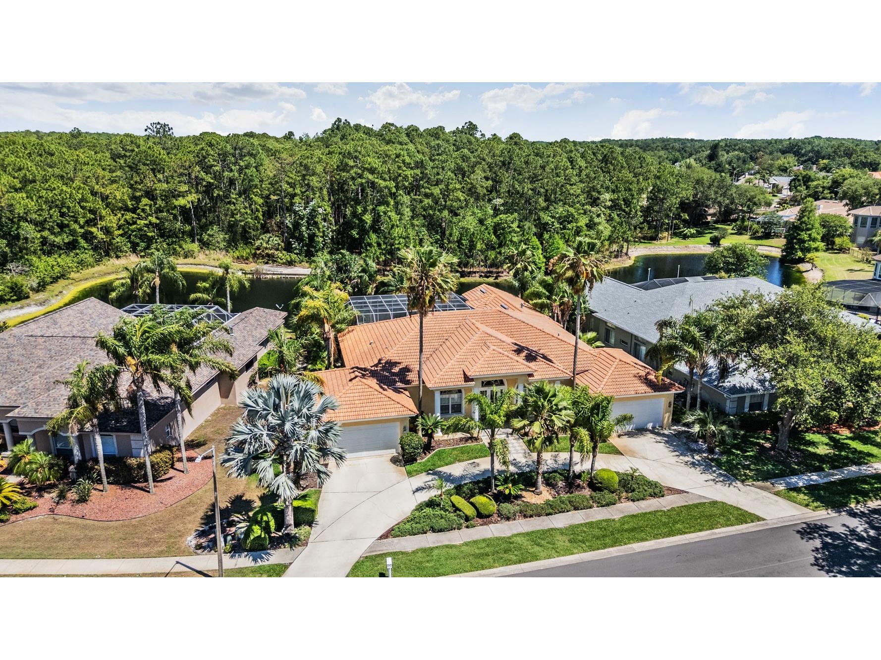 4561 Roanoak Way Palm Harbor FL 34685 TB8508800 image61