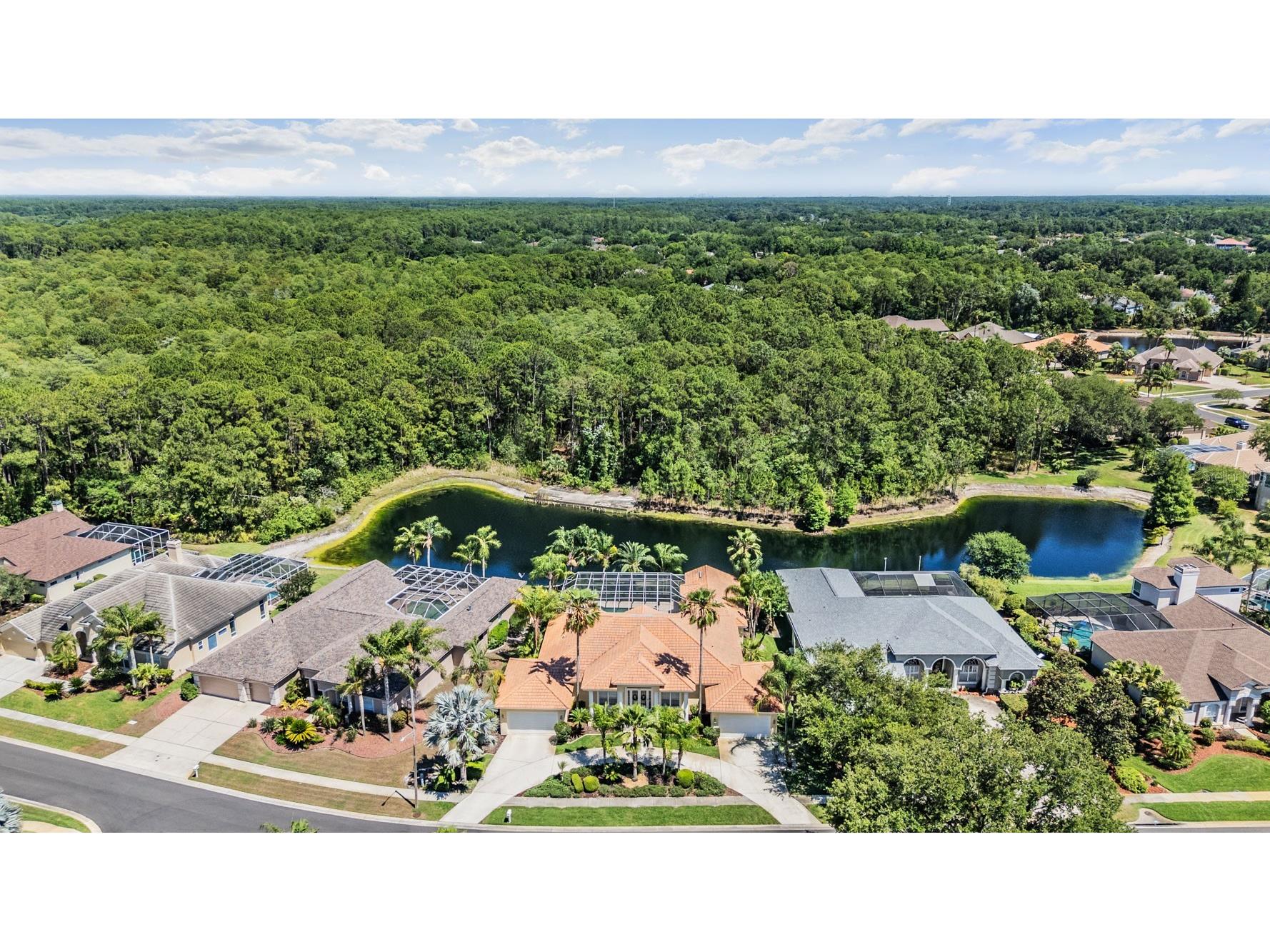 4561 Roanoak Way Palm Harbor FL 34685 TB8508800 image62