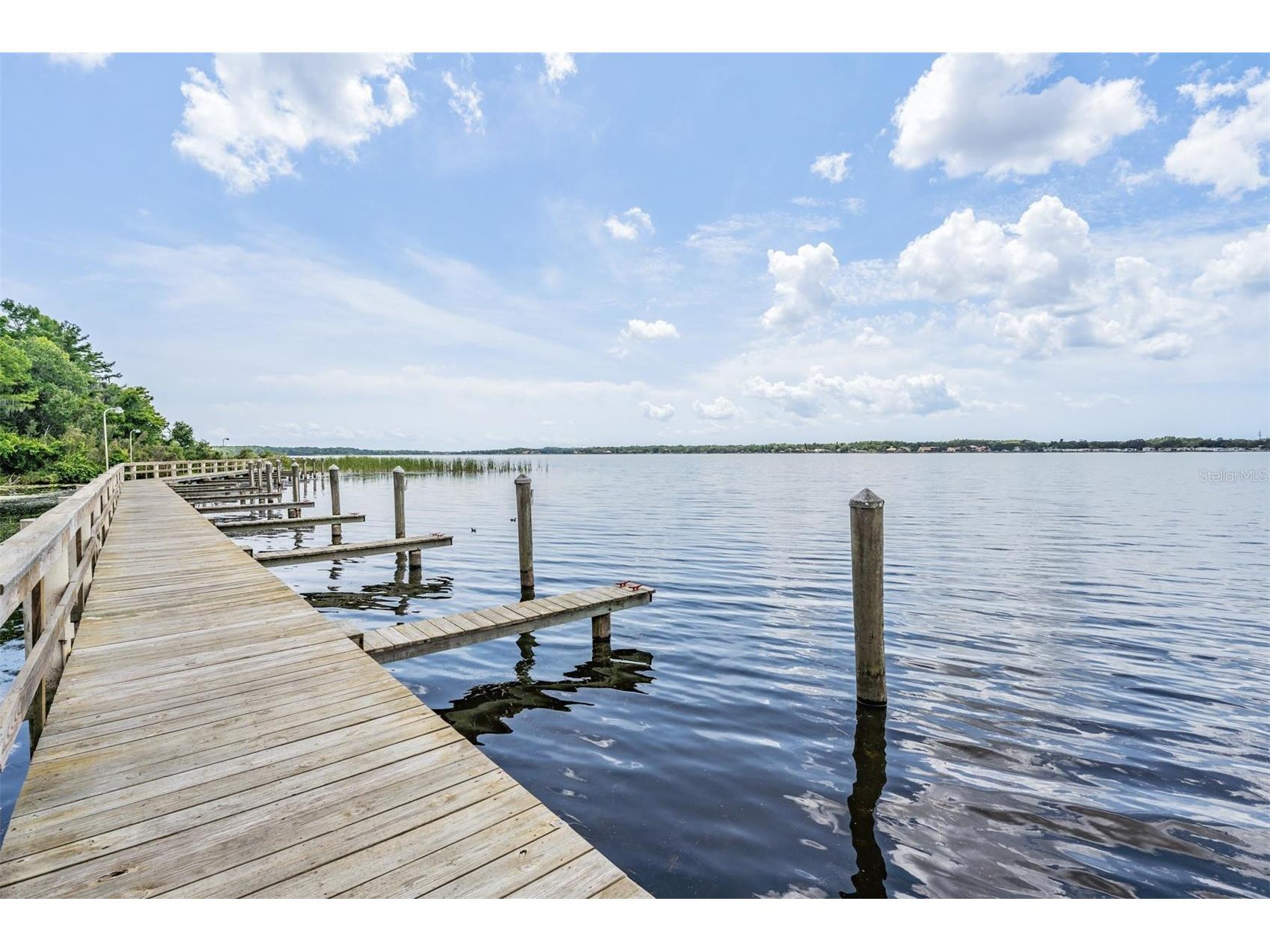 4561 Roanoak Way Palm Harbor FL 34685 TB8508800 image64
