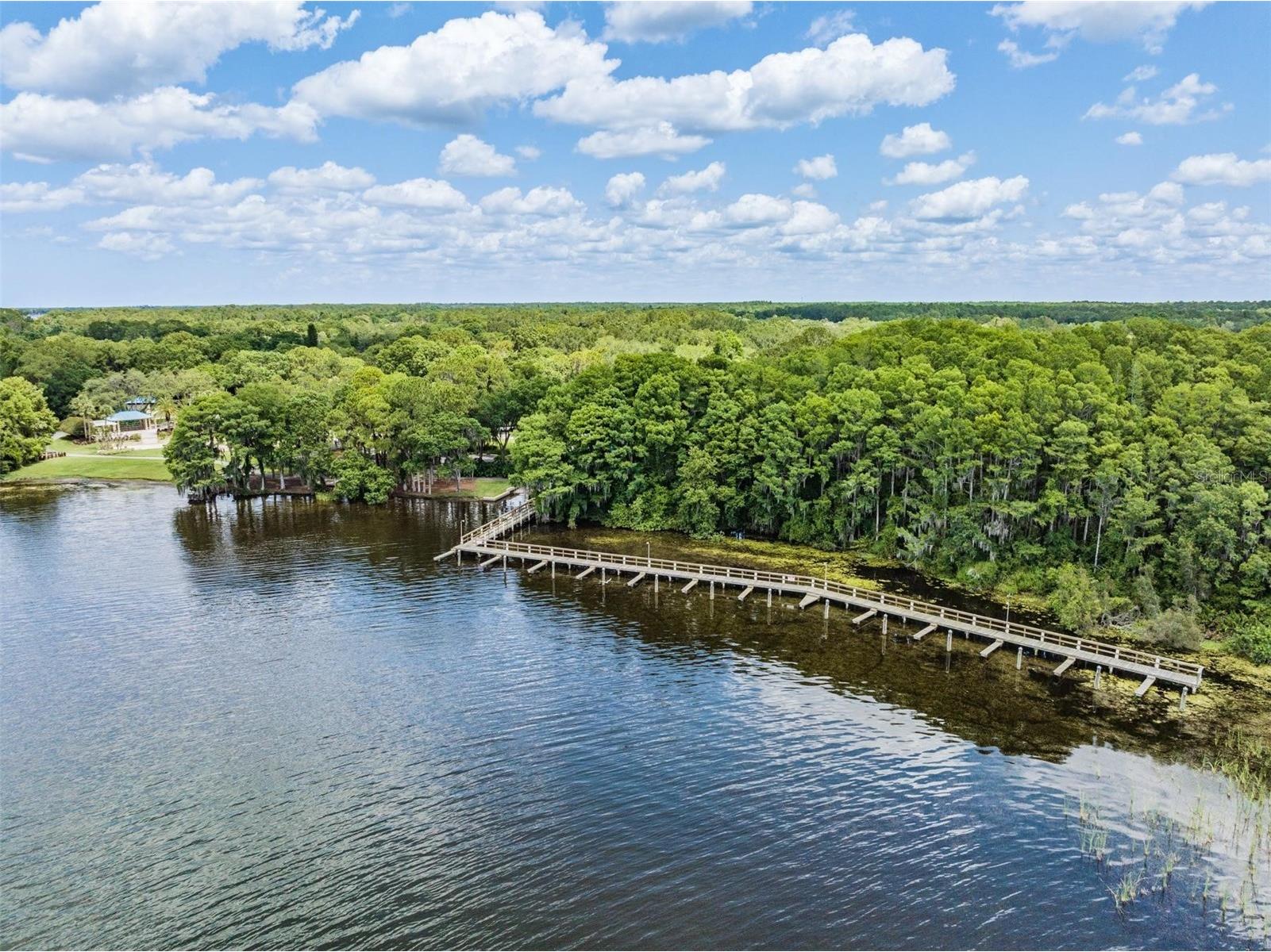 4561 Roanoak Way Palm Harbor FL 34685 TB8508800 image67