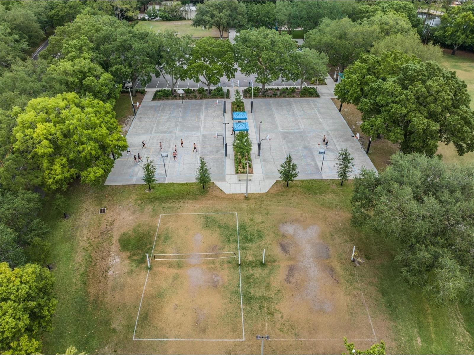 4561 Roanoak Way Palm Harbor FL 34685 TB8508800 image73