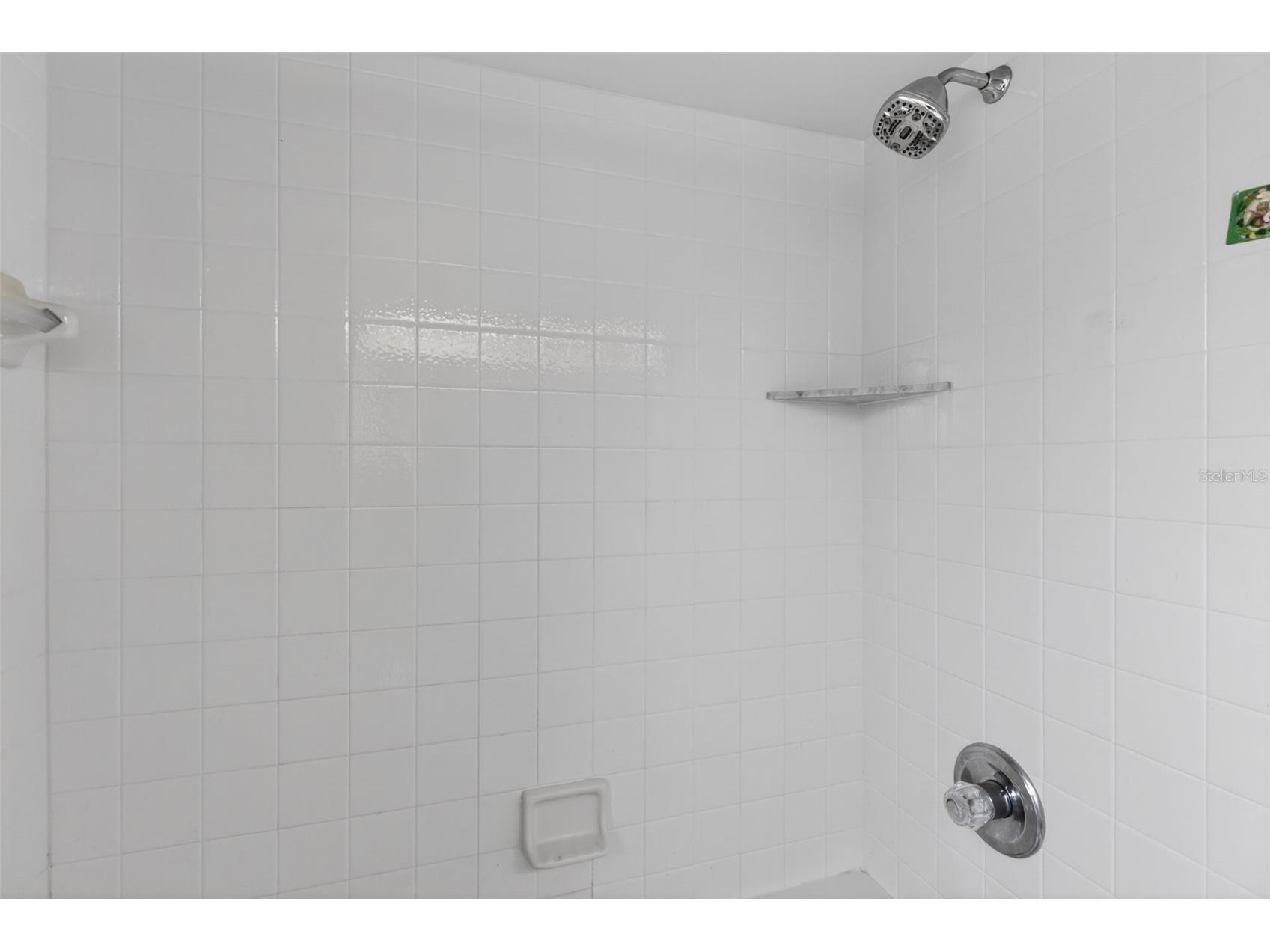 4563 Bayridge Court Spring Hill FL 34606 TB8473748 image25