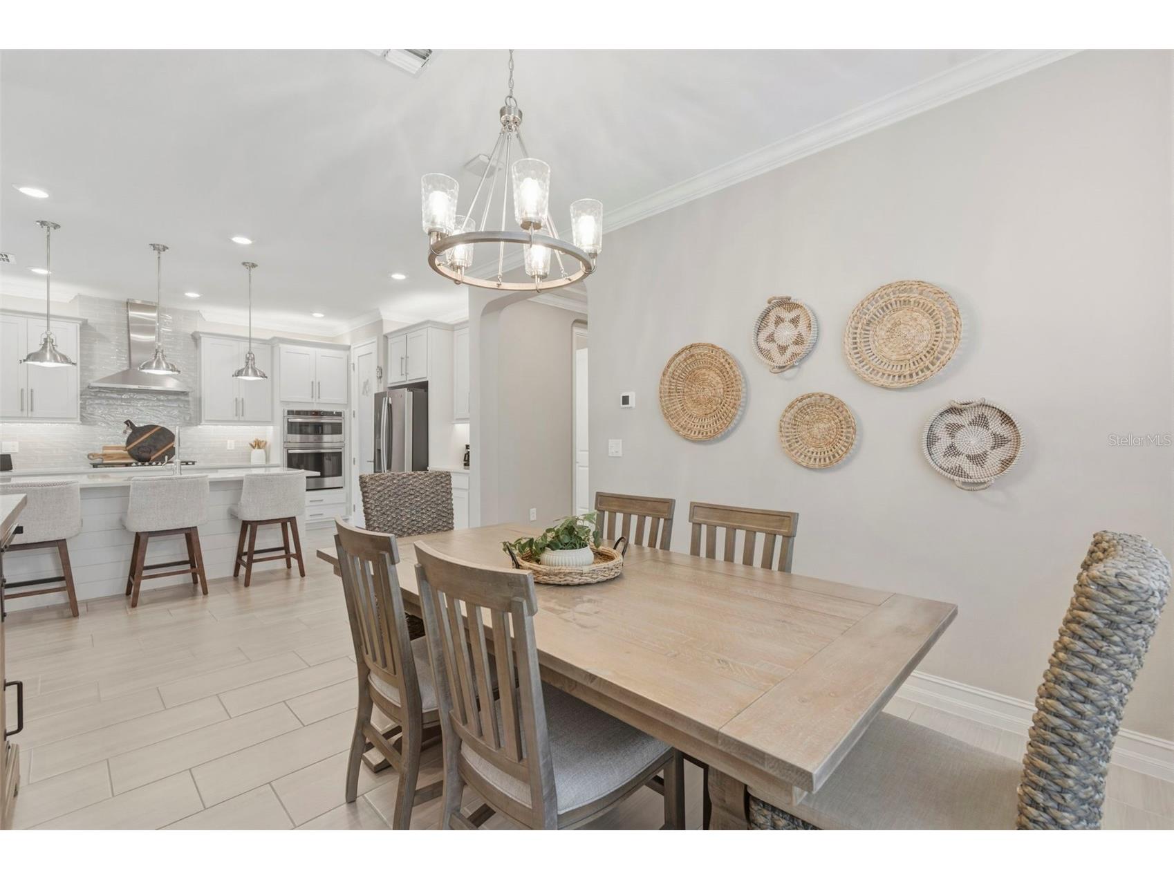 4563 San Martino Drive Wesley Chapel FL 33543 TB8478047 image19