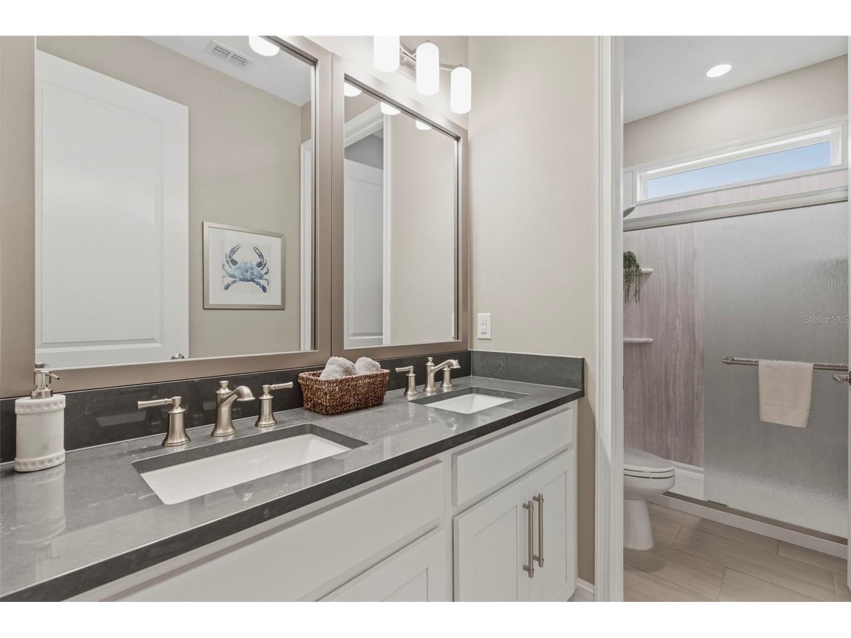 4563 San Martino Drive Wesley Chapel FL 33543 TB8478047 image26