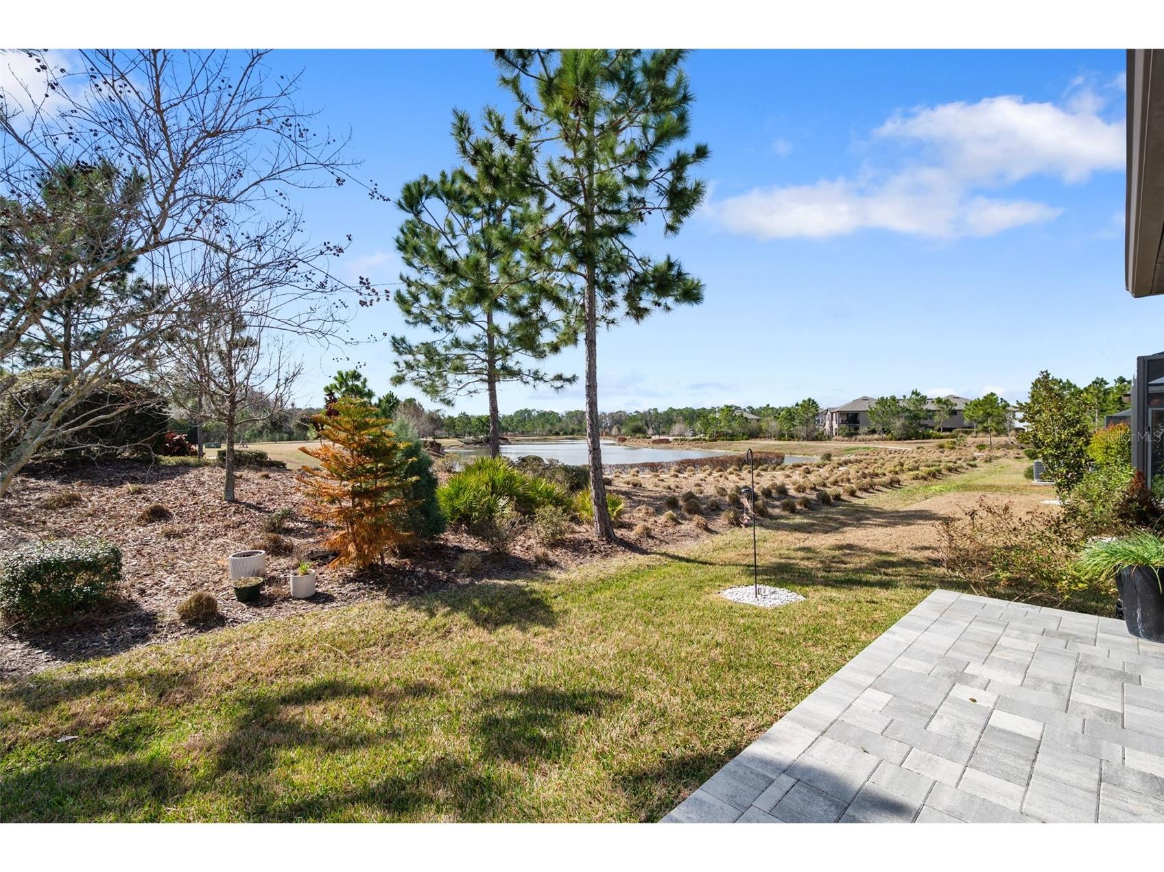 4563 San Martino Drive Wesley Chapel FL 33543 TB8478047 image35