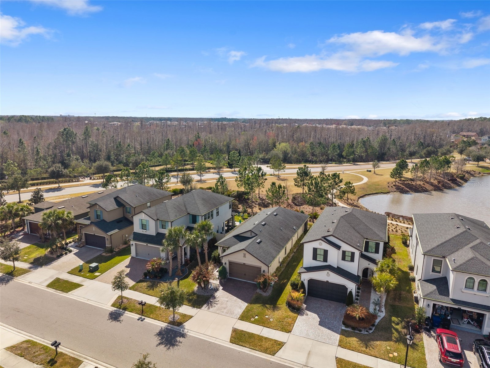 4563 San Martino Drive Wesley Chapel FL 33543 TB8478047 image46