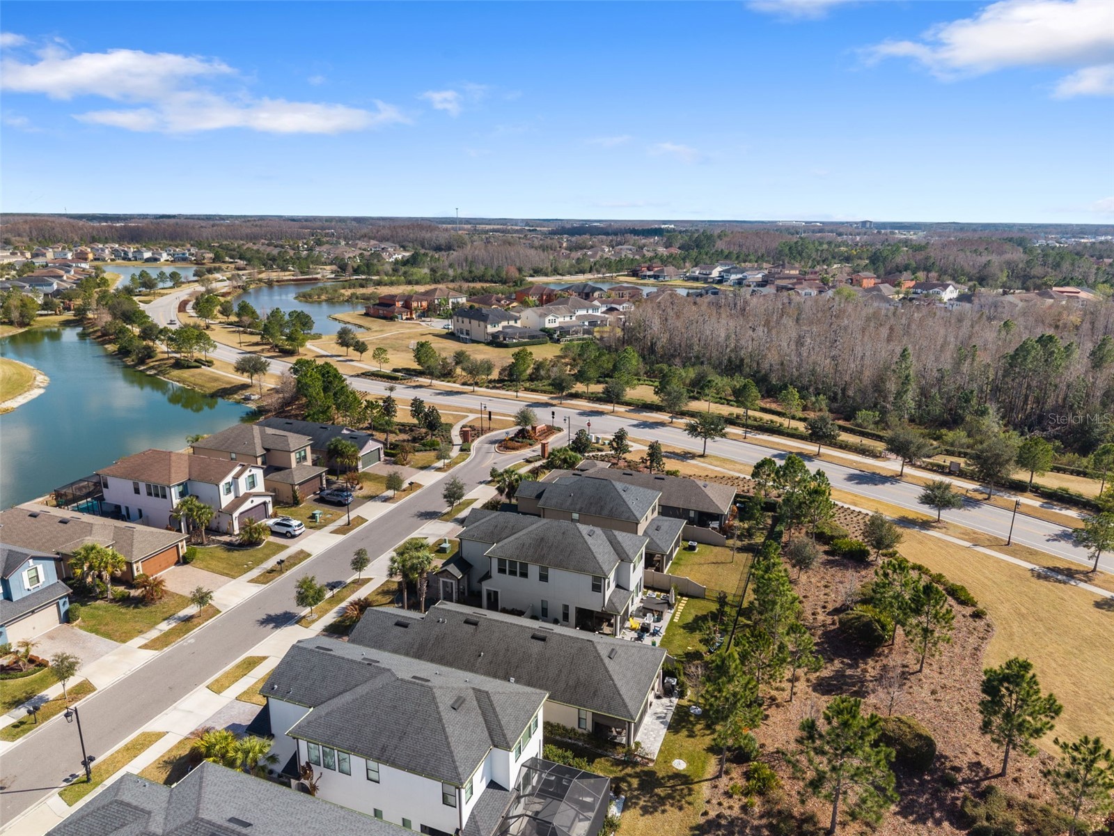 4563 San Martino Drive Wesley Chapel FL 33543 TB8478047 image53
