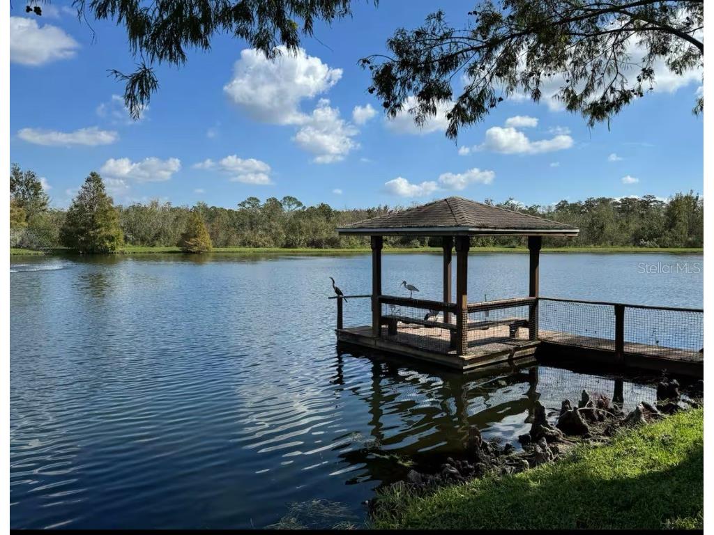 4563 Yellowgold Road E #106 Kissimmee FL 34746 S5137771 image45