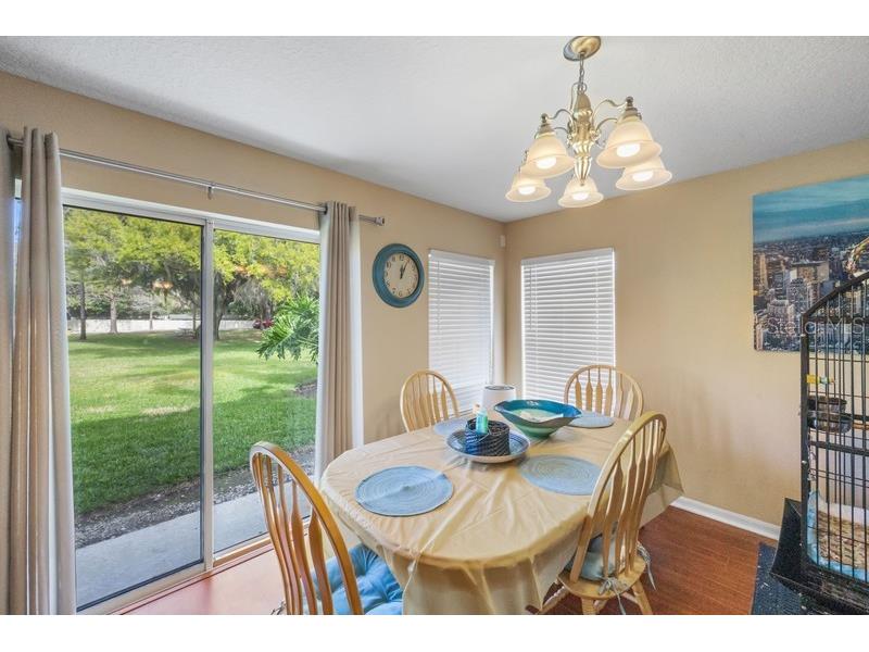 4564 Limerick Drive Tampa FL 33610 TB8422852 image11