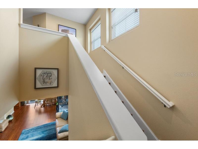 4564 Limerick Drive Tampa FL 33610 TB8422852 image18