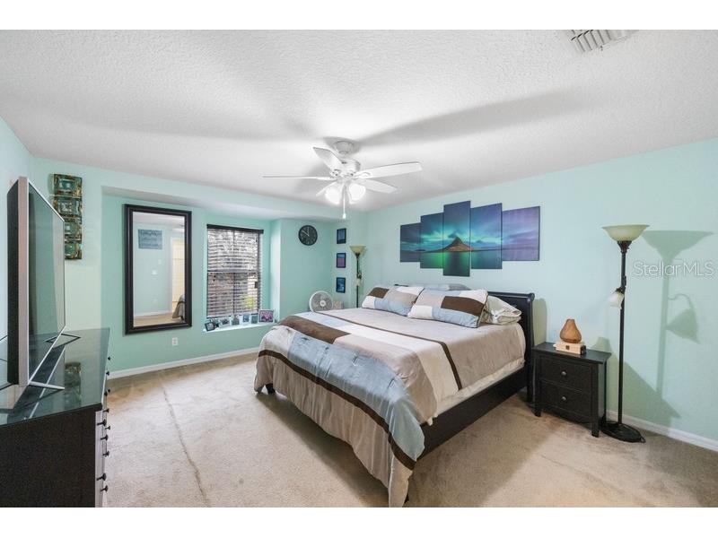 4564 Limerick Drive Tampa FL 33610 TB8422852 image19