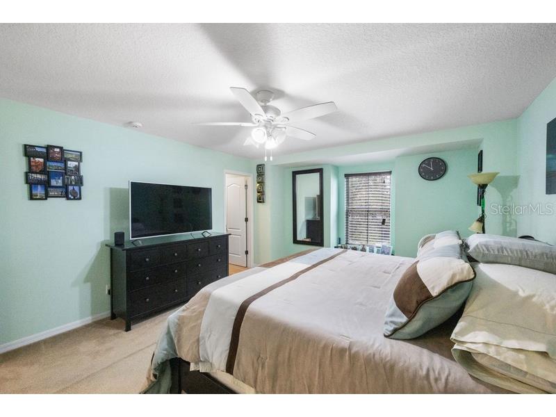 4564 Limerick Drive Tampa FL 33610 TB8422852 image21