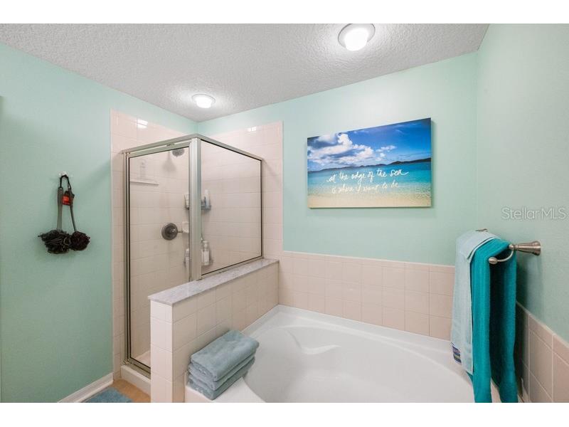 4564 Limerick Drive Tampa FL 33610 TB8422852 image23