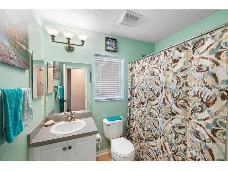 4564 Limerick Drive Tampa FL 33610 TB8422852 image28