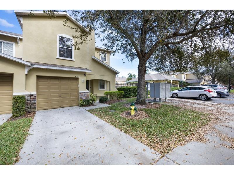 4564 Limerick Drive Tampa FL 33610 TB8422852 image3