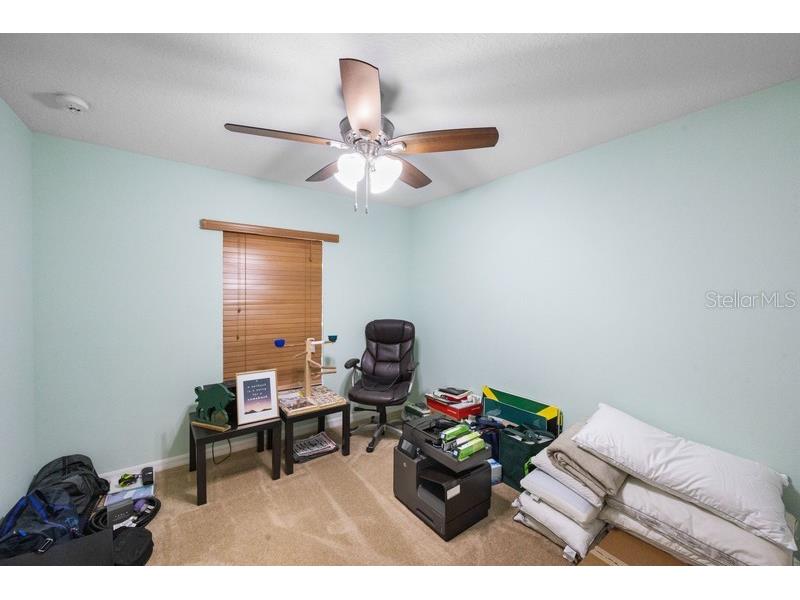 4564 Limerick Drive Tampa FL 33610 TB8422852 image30