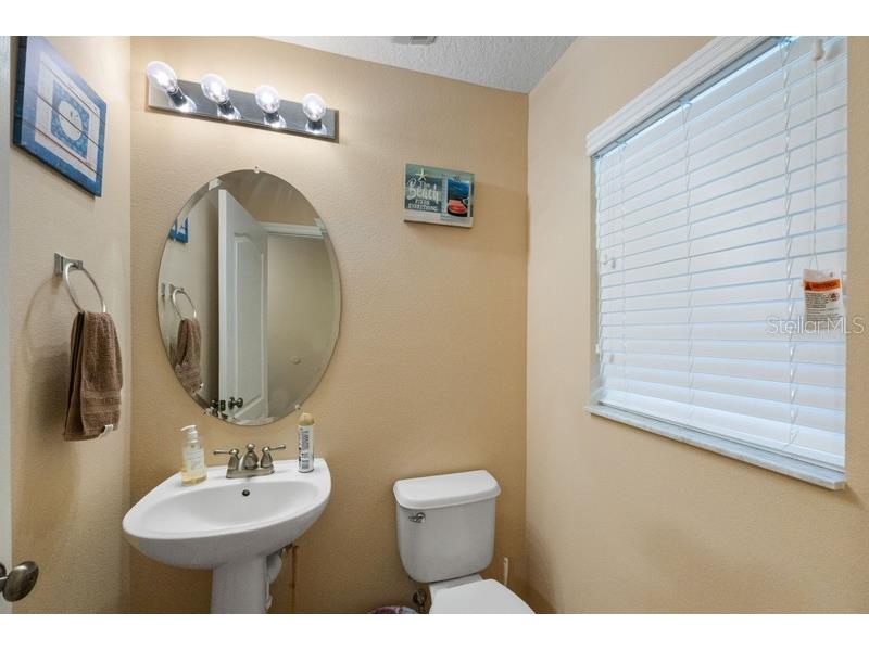 4564 Limerick Drive Tampa FL 33610 TB8422852 image31