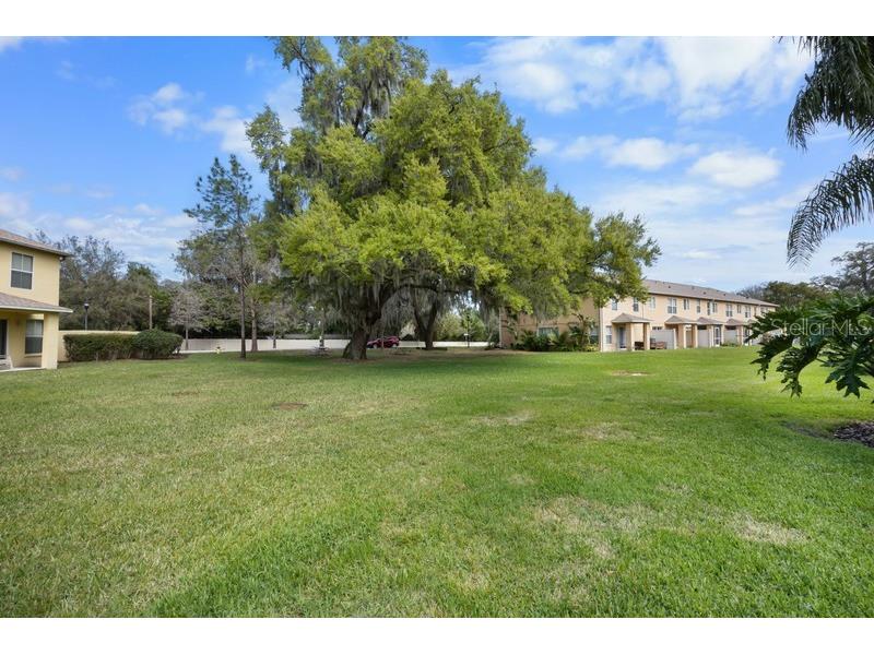 4564 Limerick Drive Tampa FL 33610 TB8422852 image35