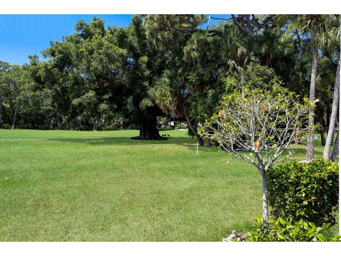 4564 Longwater #53 Sarasota FL 34235 A4661502 image24