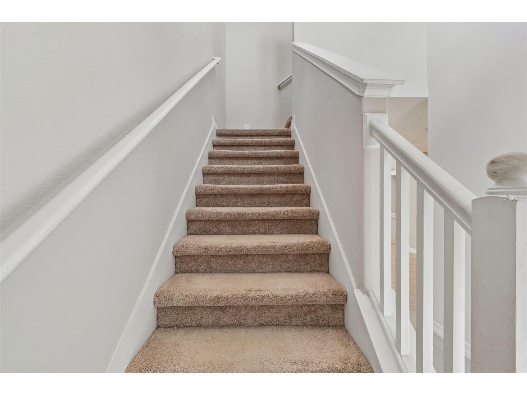 4565 Ancona Way Wesley Chapel FL 33543 TB8494490 image30