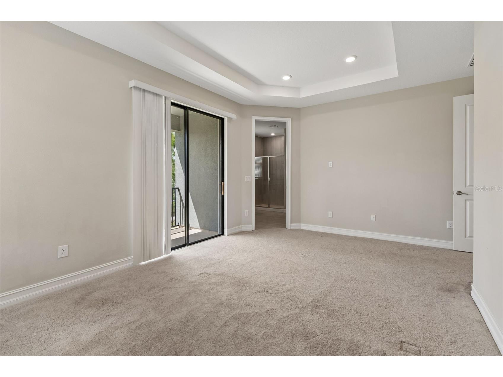 4565 Ancona Way Wesley Chapel FL 33543 TB8494490 image42