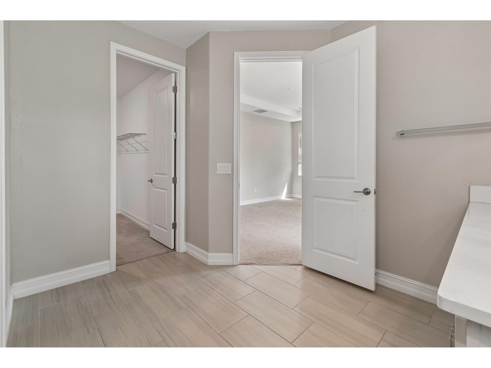 4565 Ancona Way Wesley Chapel FL 33543 TB8494490 image47