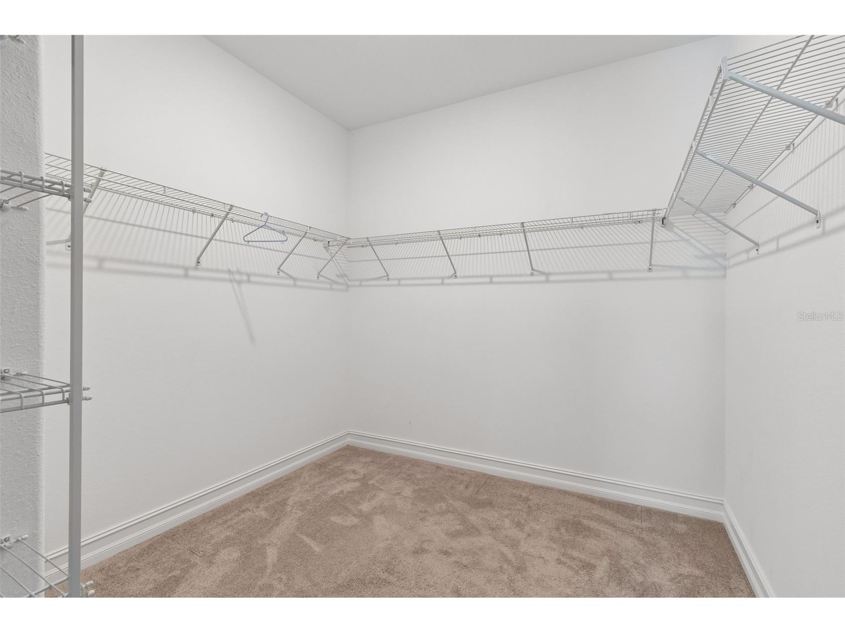 4565 Ancona Way Wesley Chapel FL 33543 TB8494490 image49