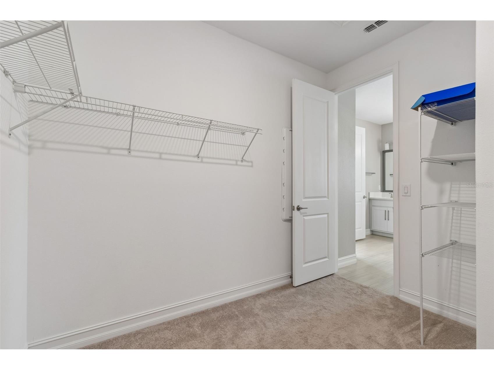 4565 Ancona Way Wesley Chapel FL 33543 TB8494490 image50