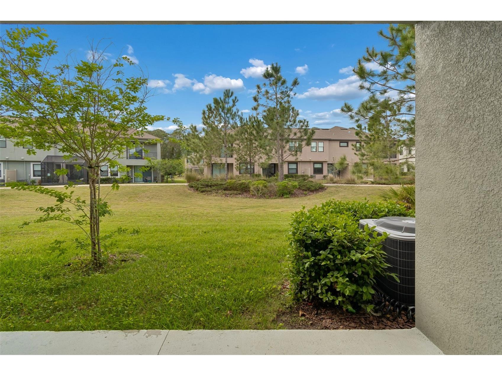 4565 Ancona Way Wesley Chapel FL 33543 TB8494490 image56