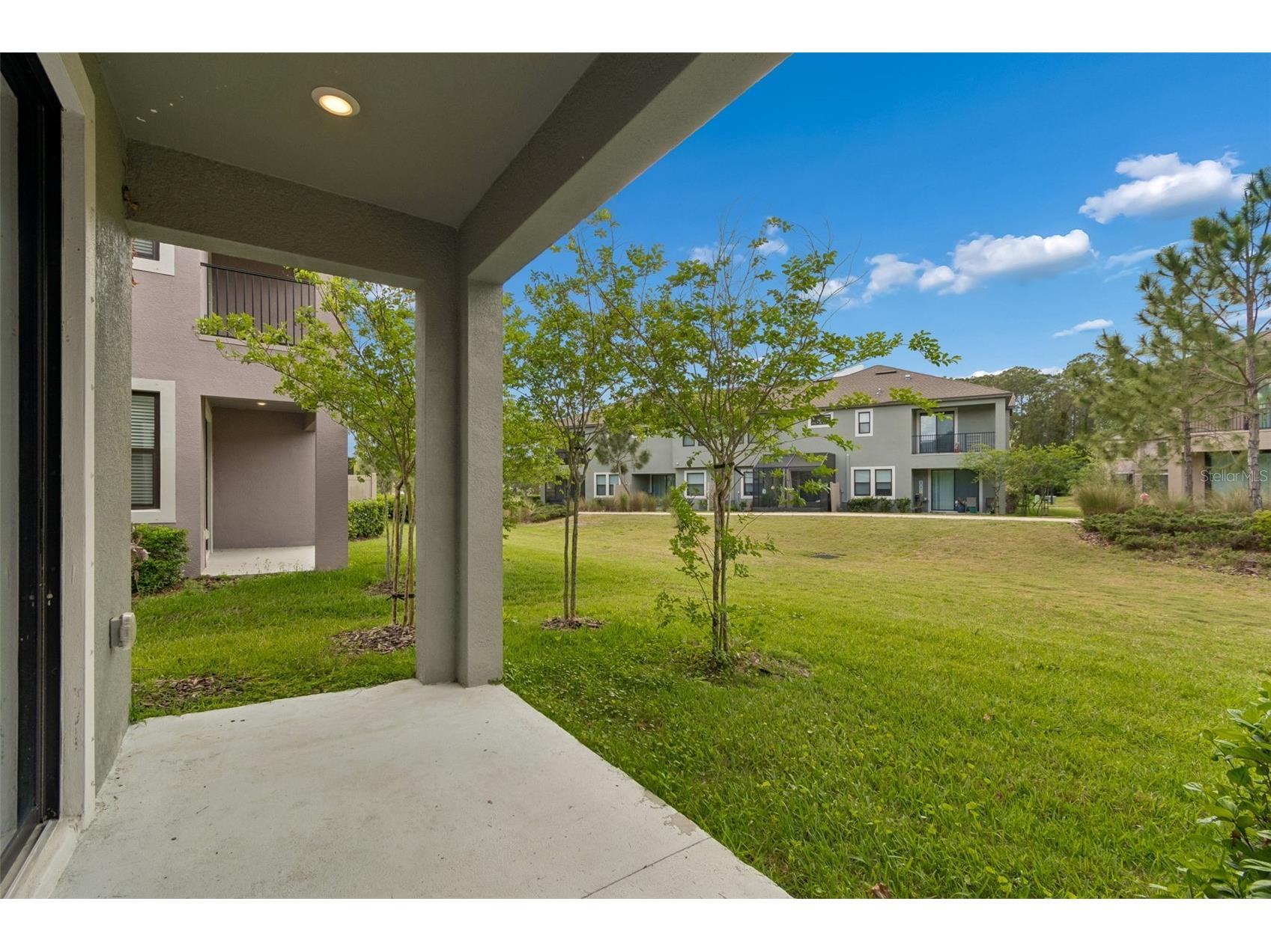 4565 Ancona Way Wesley Chapel FL 33543 TB8494490 image58