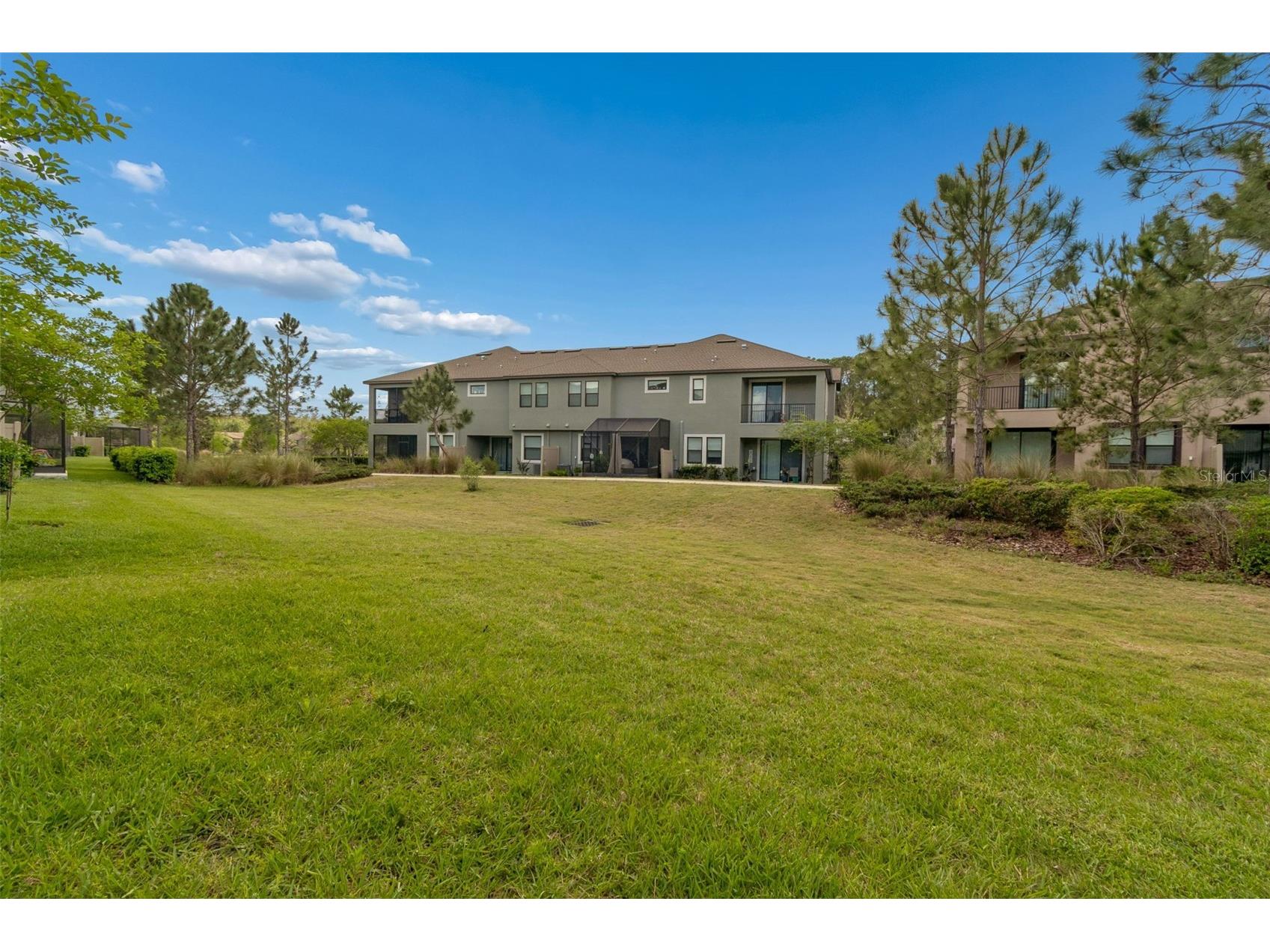 4565 Ancona Way Wesley Chapel FL 33543 TB8494490 image59