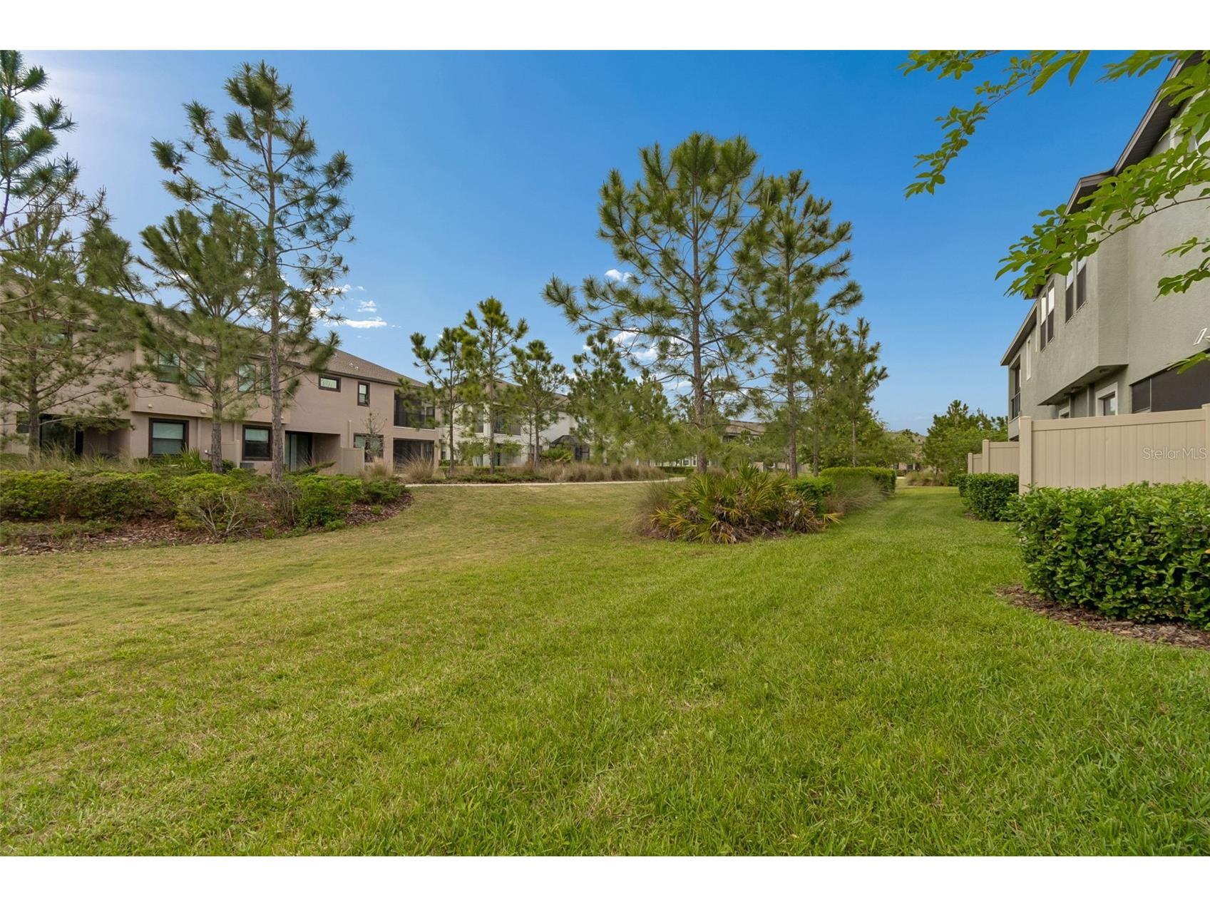 4565 Ancona Way Wesley Chapel FL 33543 TB8494490 image62