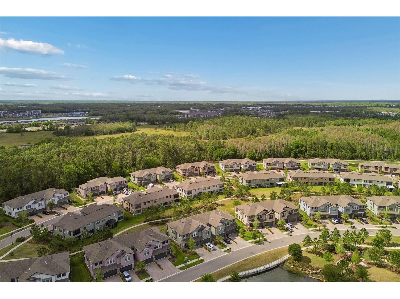 4565 Ancona Way Wesley Chapel FL 33543 TB8494490 image72