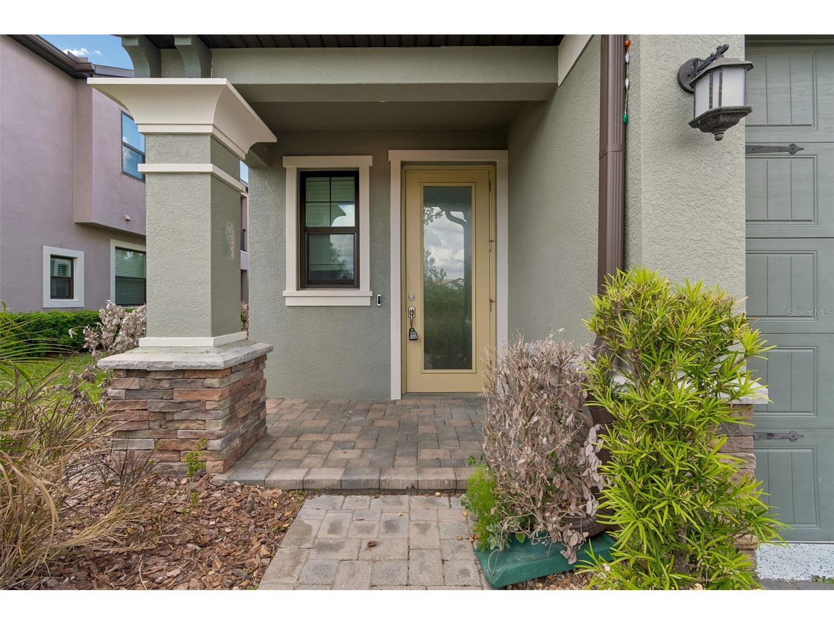 4565 Ancona Way Wesley Chapel FL 33543 TB8494490 image8