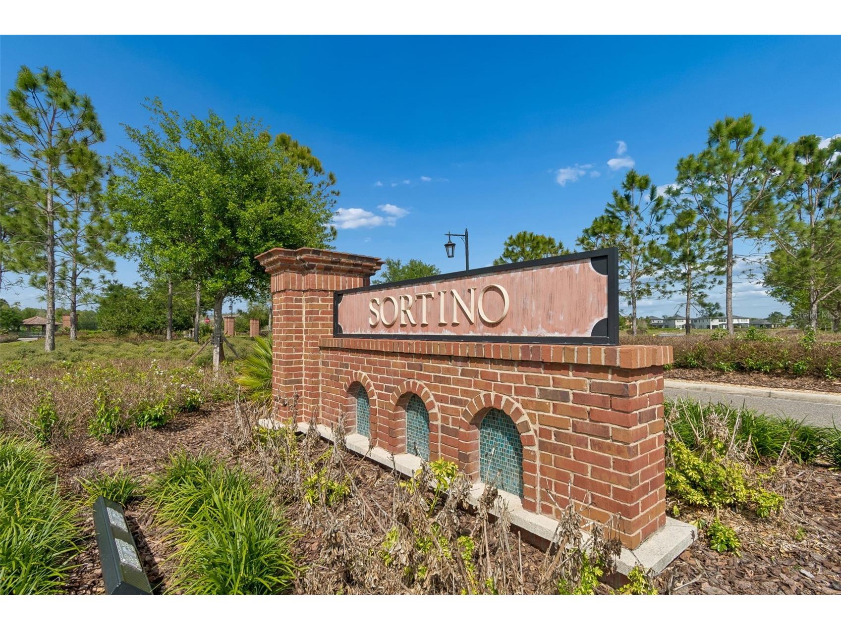 4565 Ancona Way Wesley Chapel FL 33543 TB8494490 image82