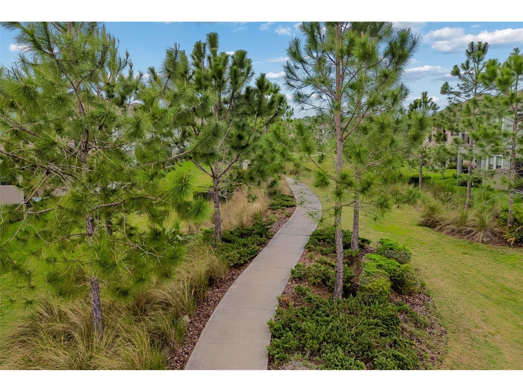 4565 Ancona Way Wesley Chapel FL 33543 TB8494490 image86