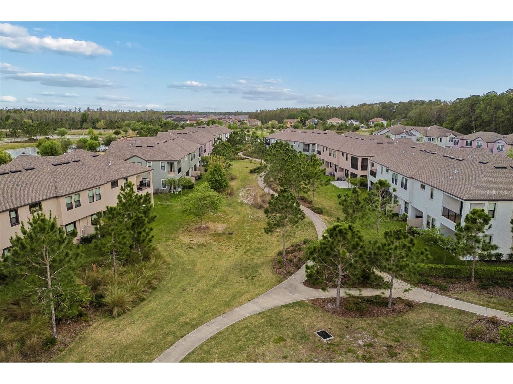 4565 Ancona Way Wesley Chapel FL 33543 TB8494490 image88