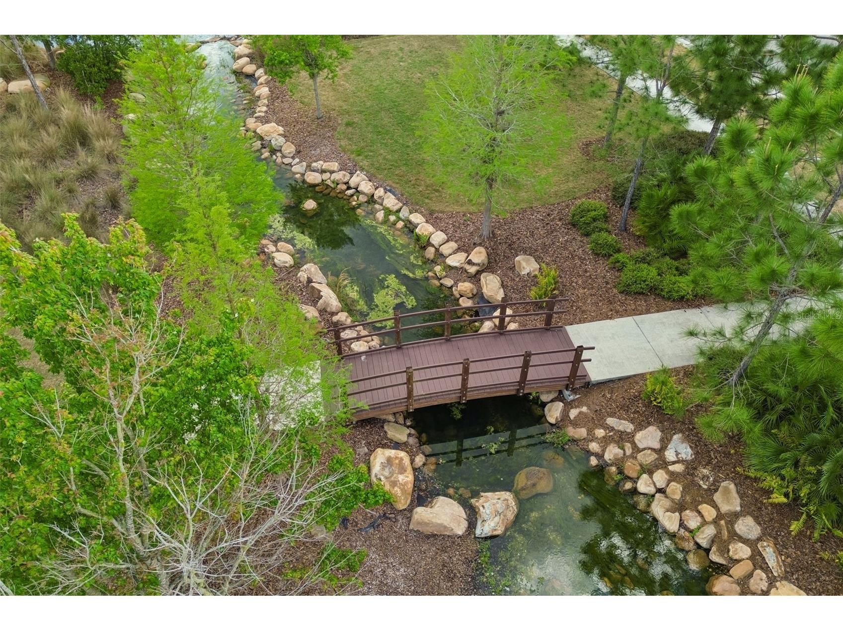 4565 Ancona Way Wesley Chapel FL 33543 TB8494490 image91