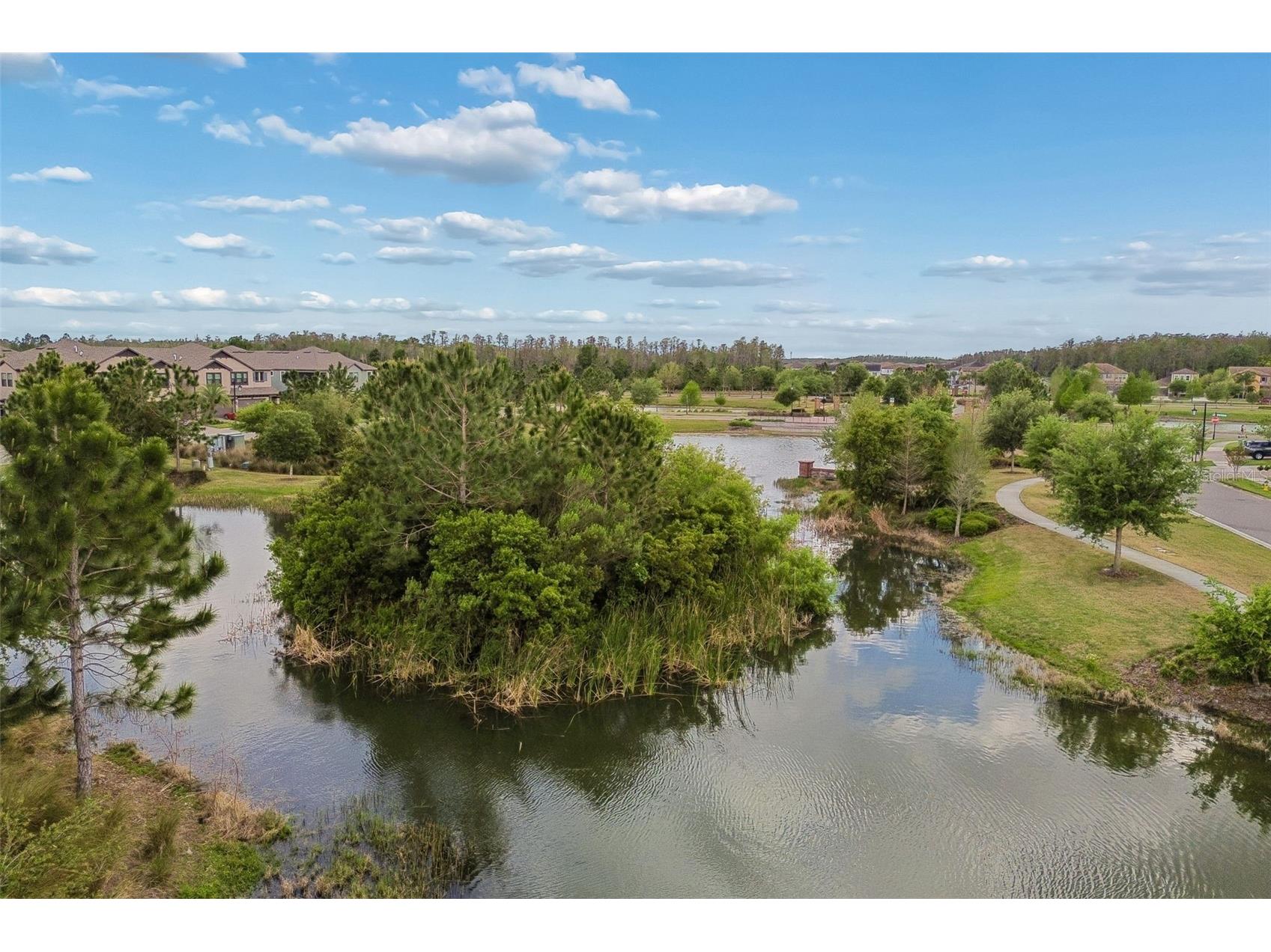 4565 Ancona Way Wesley Chapel FL 33543 TB8494490 image92