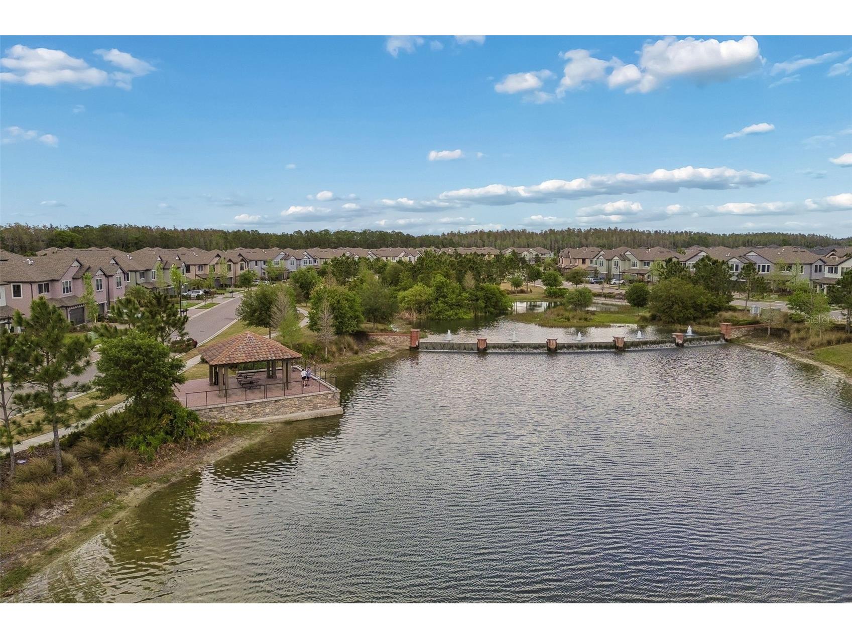 4565 Ancona Way Wesley Chapel FL 33543 TB8494490 image94