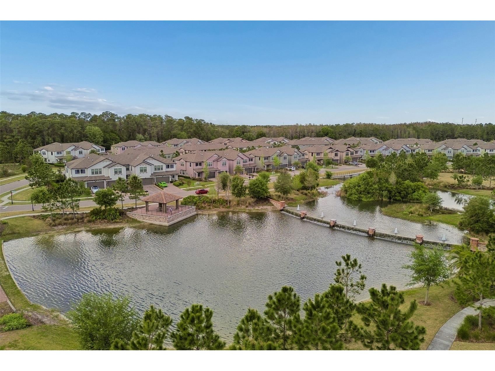 4565 Ancona Way Wesley Chapel FL 33543 TB8494490 image98