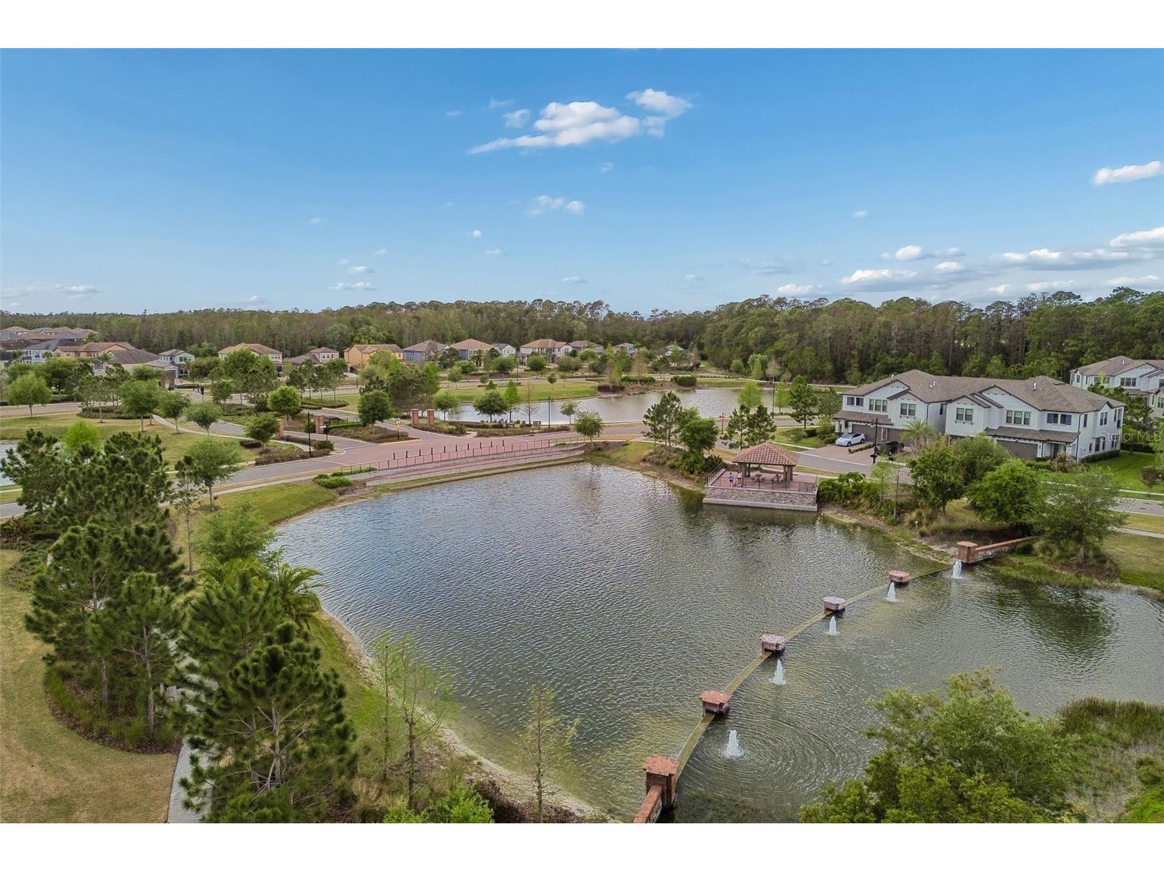 4565 Ancona Way Wesley Chapel FL 33543 TB8494490 image99