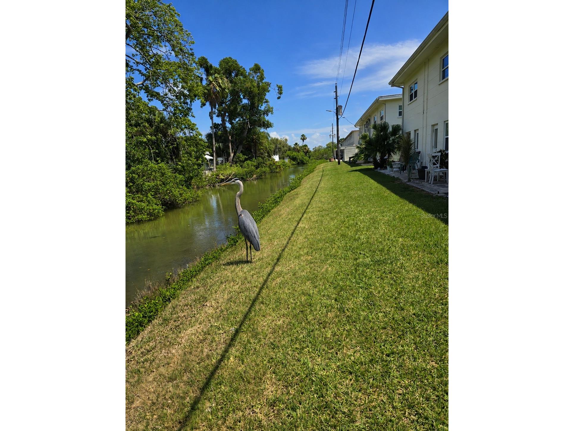 4565 Duhme Road #102 Saint Petersburg FL 33708 TB8509056 image23