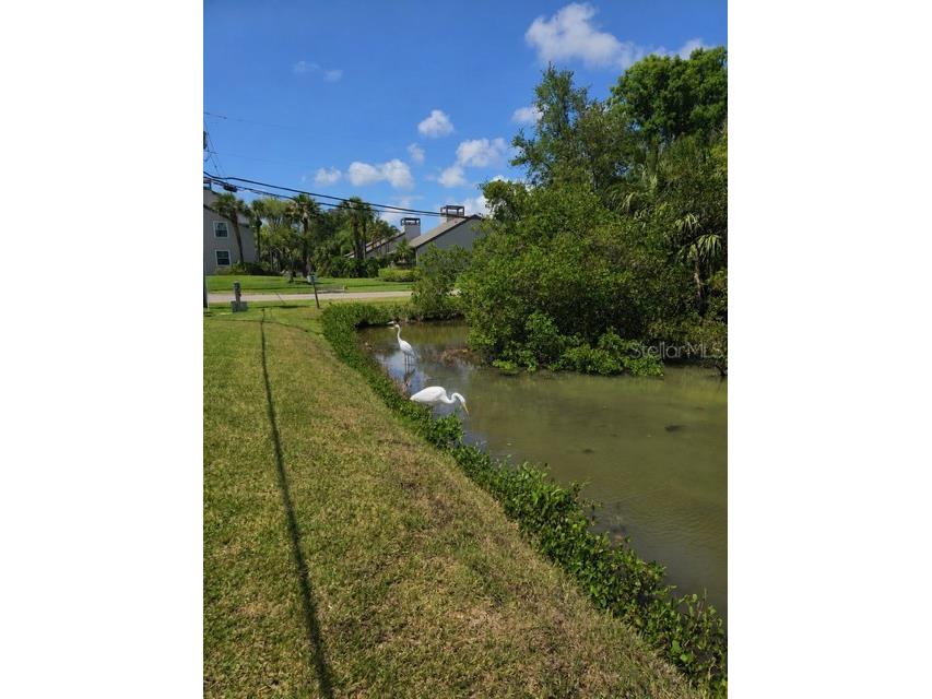 4565 Duhme Road #102 Saint Petersburg FL 33708 TB8509056 image25